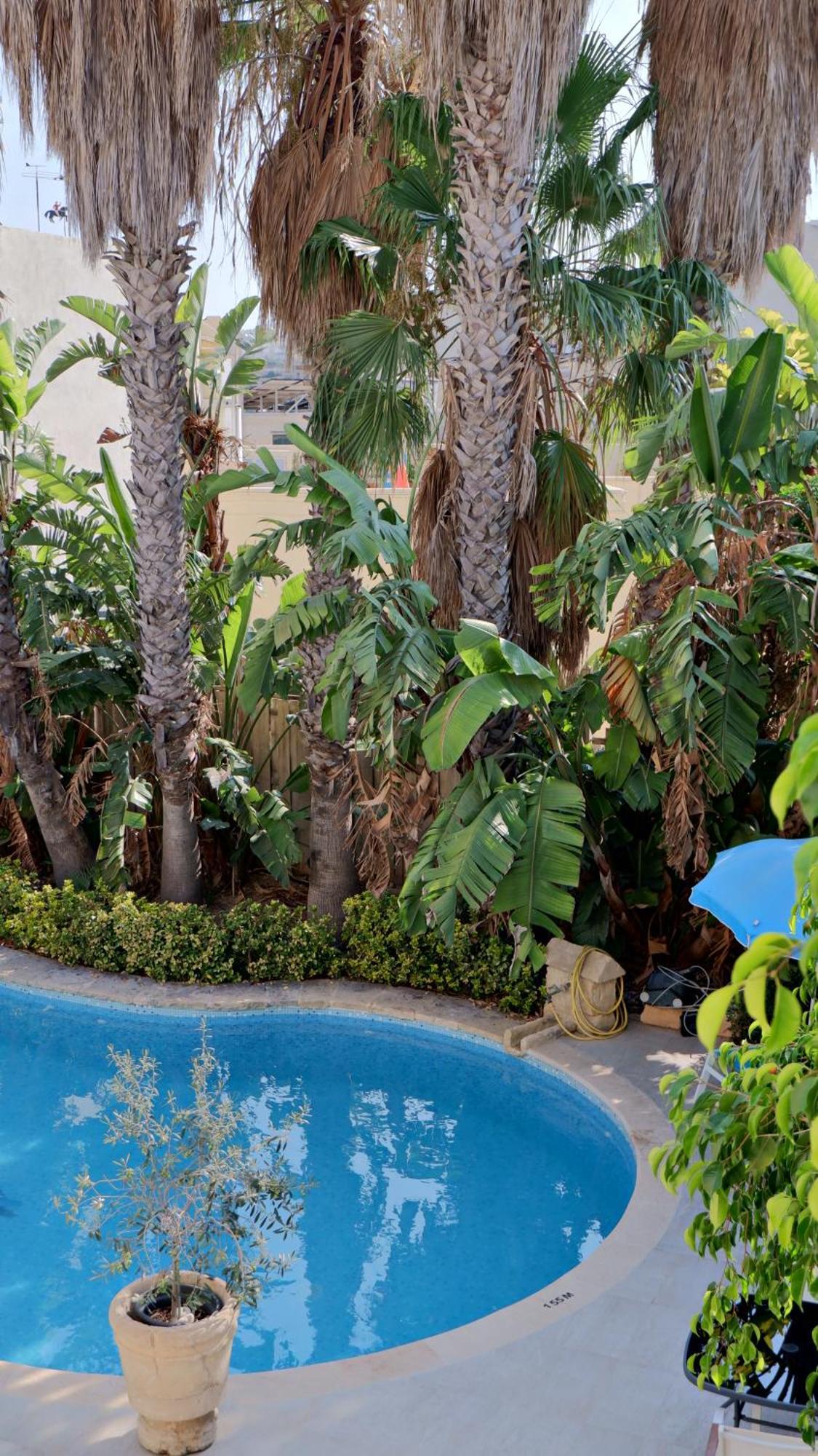 Village Knights Accommodation Żebbuġ Zewnętrze zdjęcie